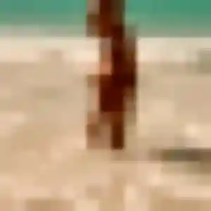 Jolie Fiona, 35 ans à Divatte-sur-Loire - la contacter