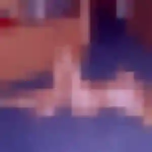 Estelle, femme de 23 ans cherche rencontre coquine à La Gaubretière