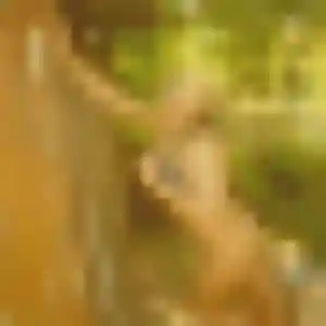 Sexy Madeleine, 45 ans à La Tessoualle - découvrir son profil
