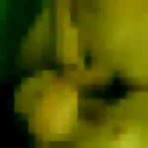 Nora, femme de 34 ans cherche rencontre coquine à Le Landreau