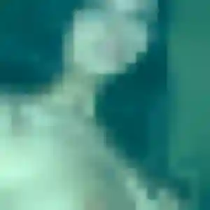 Jade, femme de 29 ans veut rencontre coquine à Les Herbiers