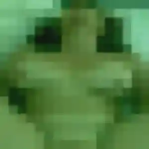 Bertille, 30 ans, cherche un rencontre coquine à Mésanger