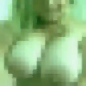 Wahiba, 26 ans, disponible à Saint-Barthélemy-d'Anjou pour un rencontre coquine