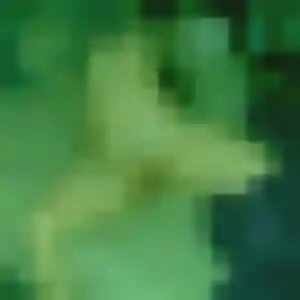 Profil de Marie-Line à Saint-Laurent-sur-Sèvre (38 ans) - rencontre coquine gratuit