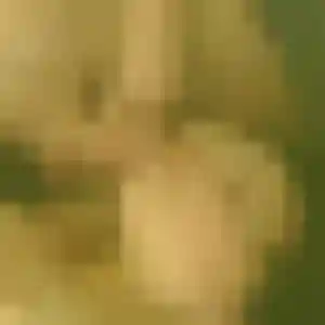 Melodie, 37 ans, connectée à Talmont-Saint-Hilaire pour un rencontre coquine
