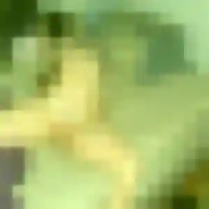 Christine, 35 ans, en ligne à Tiercé pour un rencontre coquine